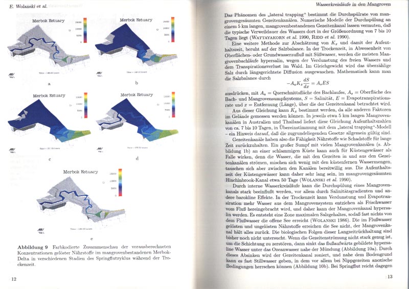 Mangroven - Lebensr�ume zwischen Land und Meer - aus dem Buch